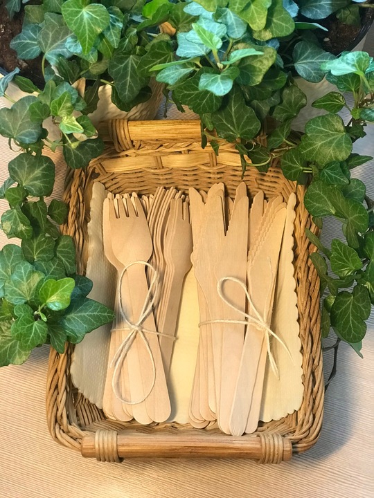 EKOLOGICZNY ZESTAW NACZYŃ JEDNORAZOWYCH DO GRILLA DLA 50 OSÓB – KRAFT