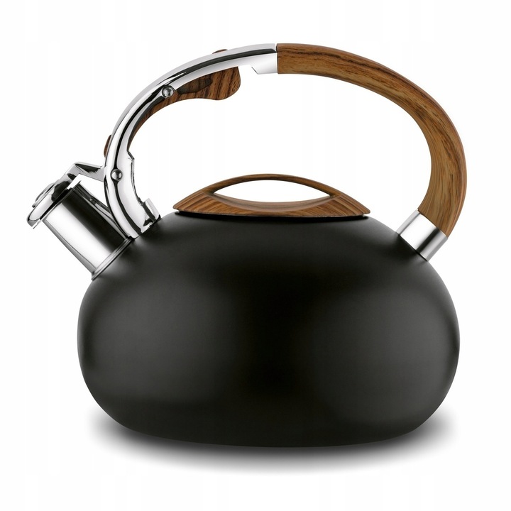 Energooszczędny CZAJNIK INDUKCJA z GWIZDKIEM czajnik NA GAZ 2,5L Douglas