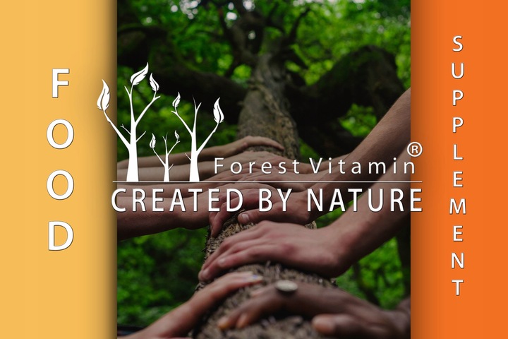 FOREST WITAMINA E NATURALNA ZDROWIE MŁODOŚĆ 100kap