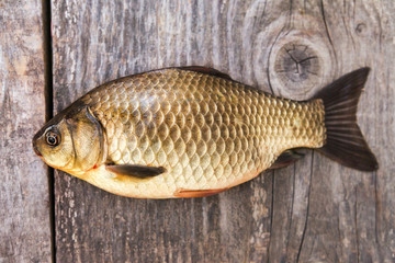 osmo pro method feeder dark pellet 2mm 1kg zanęta