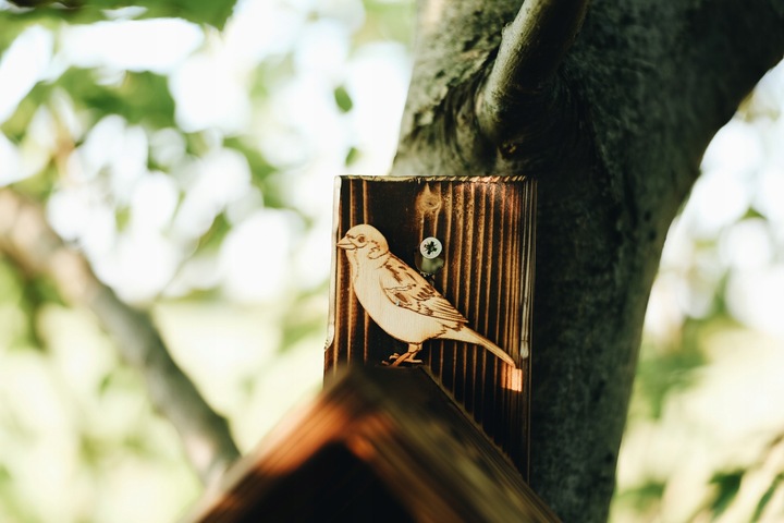 DREWNIANY karmnik dla PTAKÓW budka góralski POLSKI HIT DOMEK