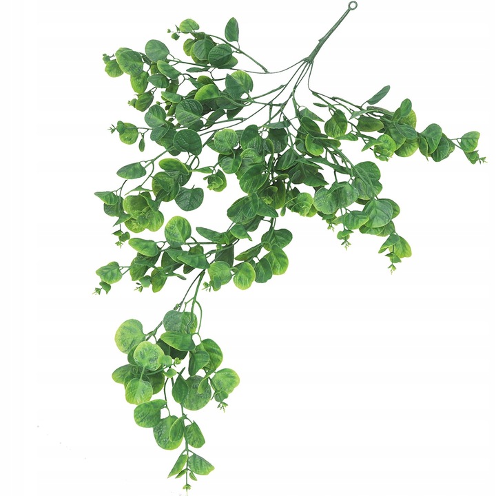 EUKALIPTUS ZWISAJĄCE GĘSTE PNĄCZE GAŁĄZKI KASKADA GIRLANDA BLUSZCZ 5gał