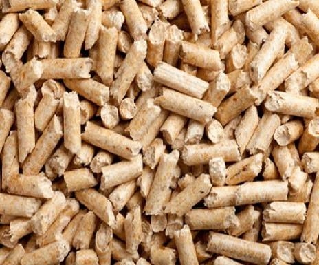 Super Pinio żwirek drewniany 10 l dla kota dla gryzoni