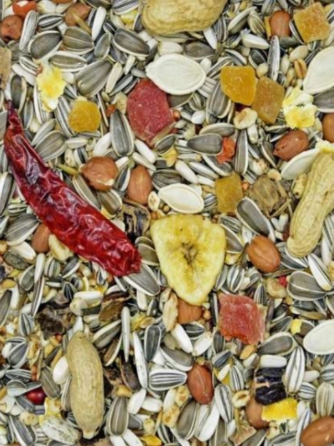 karma dla papug dużych z orzechami i owocami MDM PDO 1 x 10kg fa