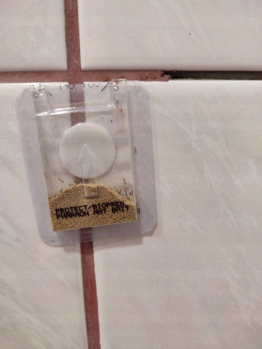 SILNY PROSZEK ŚRODEK PREPARAT TRUTKA NA MRÓWKI FARAONA PROTECT 3 SZT