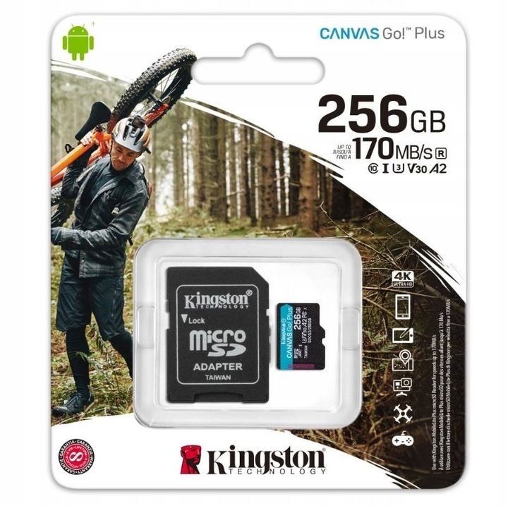Kingston Karta Pamięci microSD 256 GB Go Plus 170/90 MB/s