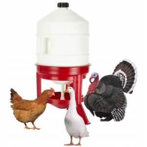 Automatyczne poidło dla drobiu kur kaczek gęsi indyków 30 L Włoskie