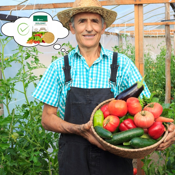 Wapno Ogrodowe Nawozowe Idealne Do Warzyw Owoców JESIEŃ Dolomit Sypki