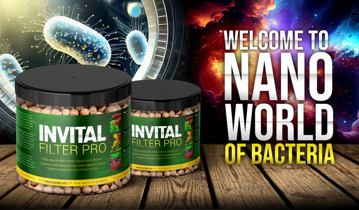 INVITAL Filter PRO 1000ml