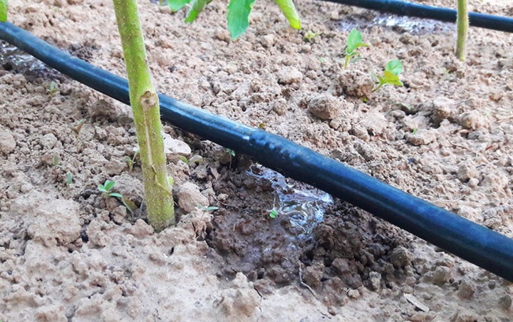 Linia kroplująca 100m + 100 szpilek/137 akcesoriów MOCNA kropelkująca