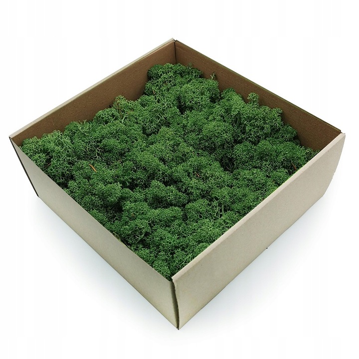 500g MECH CHROBOTEK reniferowy zielony NORWESKI