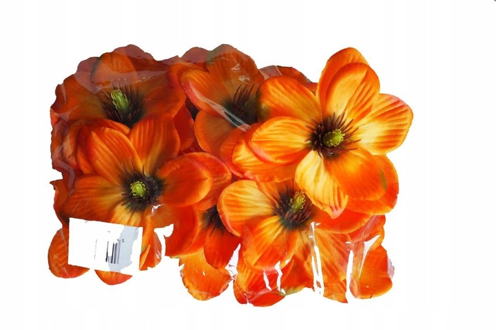 Gąbka mokra florystyczna cegła pianka zielona 20 sztuk !