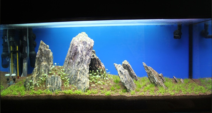 10kg Łupek Drzewiasty Zestaw Skał do Akwarium