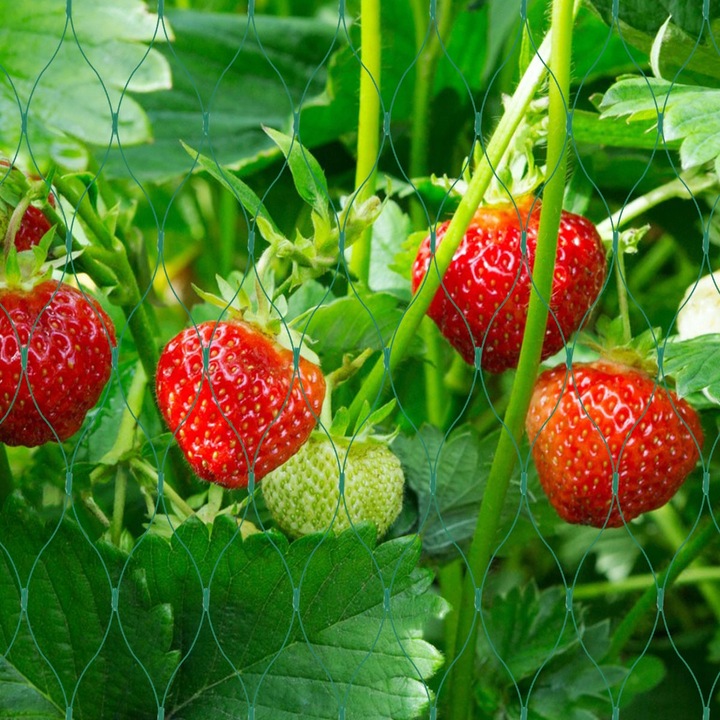 Siatka na ptaki OCHRONNA DUŻA BARDZO MOCNA TRWAŁA FILTR UV przeciw