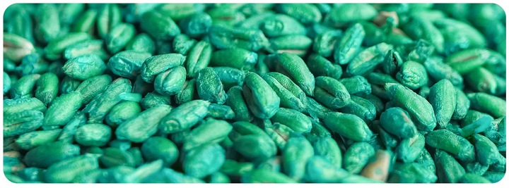 ZATRUTE ZIARNO NA MYSZY I SZCZURY TRUTKA ZBOŻOWA STRONG BROMADIOLON 3