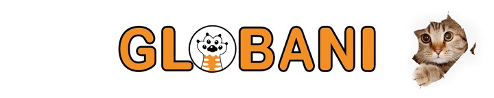 DRAPAK TEKTUROWY DLA KOTA DUŻY DOMEK KARTONOWY LEGOWISKO Z ZABAWKĄ