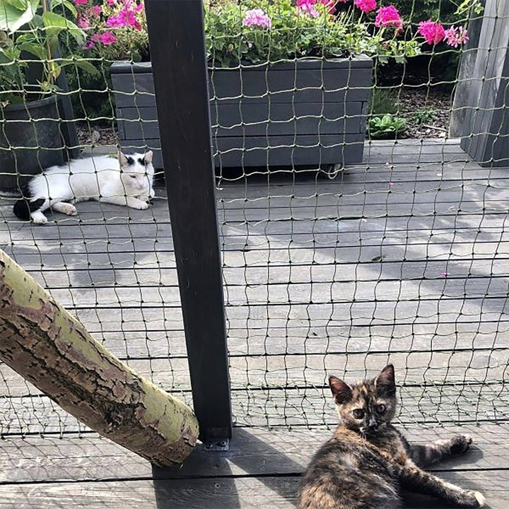ZESTAW SIATKA NA BALKON DLA KOTA 3x2m Z DRUCIKIEM