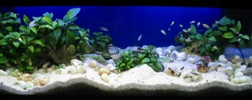 30 KG BIALY GRYS WAPIENNY DO AKWARIUM MALAWI 1-3mm