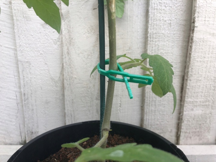 TG56594 OPASKI ZACISKOWE SPINKI OGRODNICZE TRYTYTKI DO ROŚLIN KLIPSY wielor