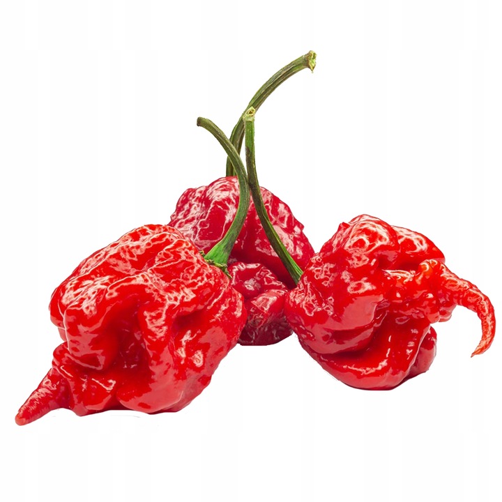 Papryka Carolina Reaper HP22B Red nasiona Zestaw do uprawy XXL Bardzo Ostra