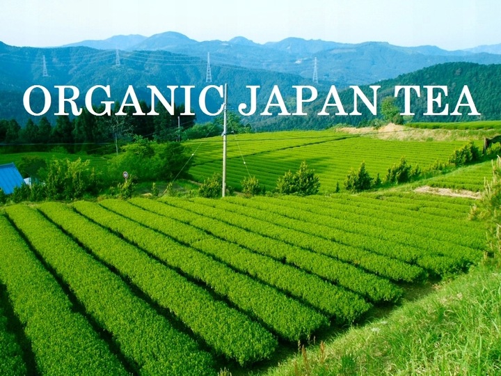 Herbata japońska Matcha Kikyou BIO 100g OSADA