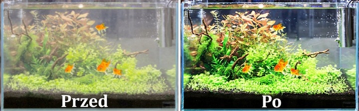 ZESTAW DO CZYSZCZENIA AKWARIUM 5 ELEMENTÓW CZYŚCIK SKROBAK ŁOPATKA 48 CM