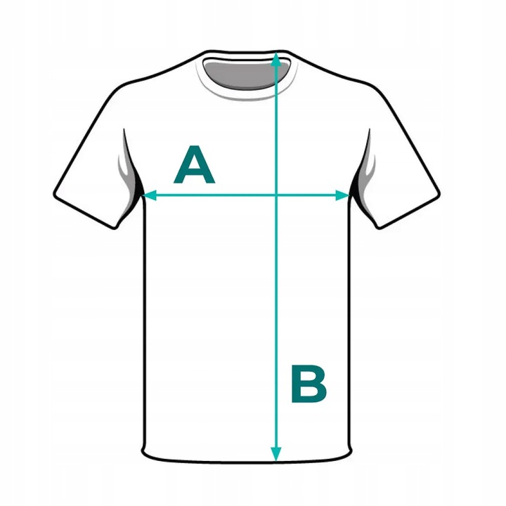 KOSZULKA 4F MĘSKA SPORTOWA PODKOSZULEK T-SHIRT BAWEŁNANY DZIEŃ