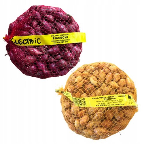Zimowy zestaw do sadzenia cebula dymka - 2x500g