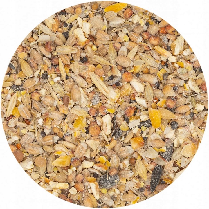 Pasza karma dla kur nioska BEZ GMO 18kg ziarno dla kur PASZARNIA TRADYCYJNA