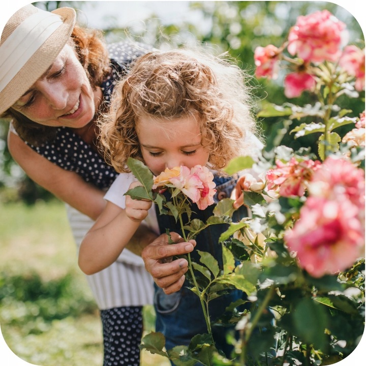 MAGUS 200SC 100ML ŚRODEK NA PRZĘDZIORKI OPRYSK NA PRZĘDZIORKA