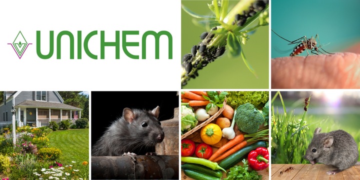 RATIMOR Trutka na szczury i myszy gryzonie w saszetkach Pasta