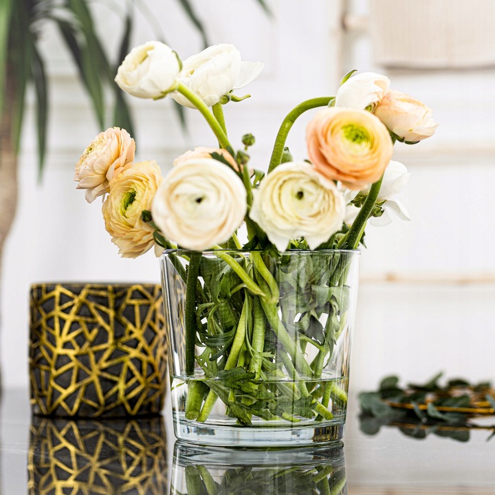 OSŁONKA SZKLANA Na STORCZYK Rośliny Doniczkę Przezroczysta H 16 cm