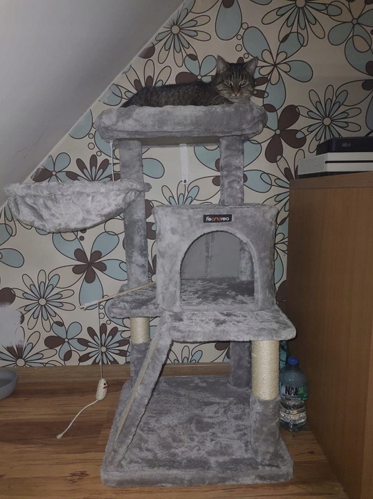 DRAPAK DLA KOTA KOTÓW STABILNY LEGOWISKO WIEŻA SŁUPEK DOMEK 3 POZIOMY