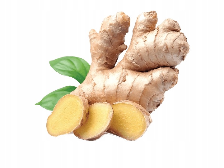 WIELOPAK Napój Piwo Bezalkoholowe Imbirowe Ginger Beer 12x330ml OLD