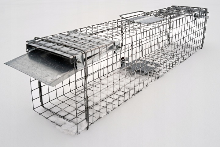 PROFESJONALNA PUŁAPKA ŻYWOŁAPKA KUNY SZCZURY ŁASKI NORKI ŁAPKA