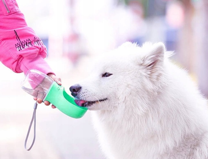 BUTELKA TURYSTYCZNA DLA PSA POIDŁO MISKA NA WODĘ PRZENOŚNA NA SPACER BIDON