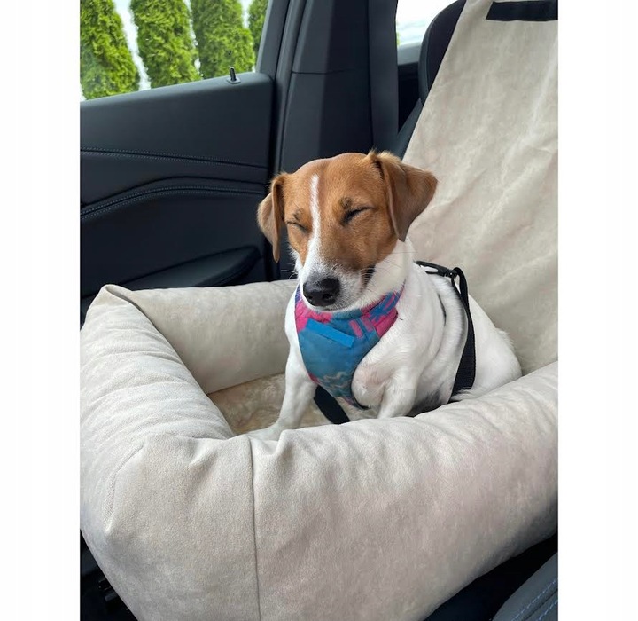 Fotelik samochodowy dla psa Transporter Velvet