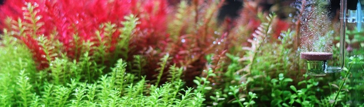 Twinstar CO2 diffuser S