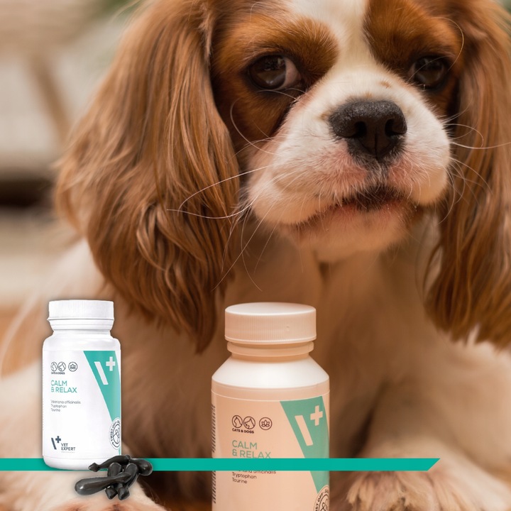 Preparat dla psów i kotów na stres Vet Expert Calm & Relax 30 kapsułek