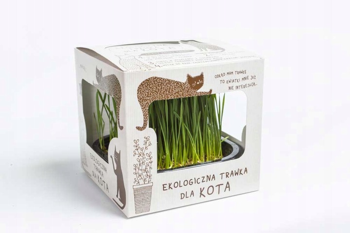 Ekologiczna Trawa TRAWKA Dla Kotów Przysmak Odkłaczający Wyrośnięta Świeża