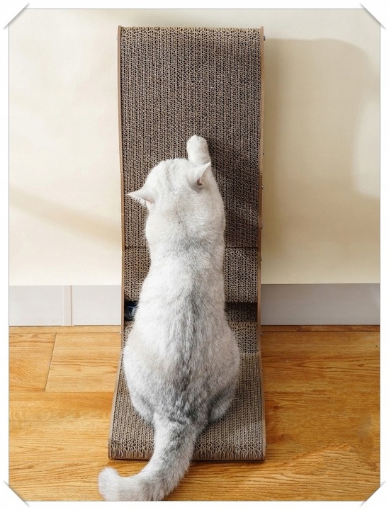 Drapak Narożny Dla Kota Kotów Zabawka z Piłką