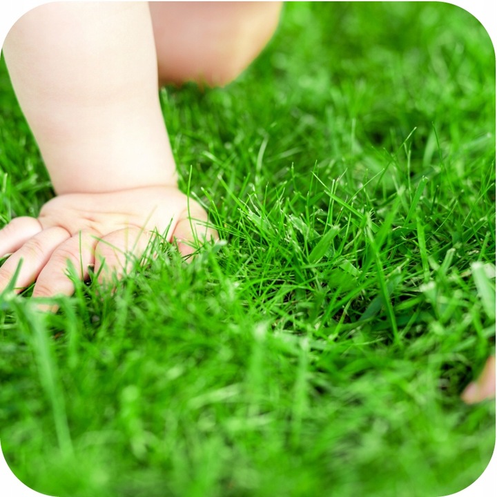 FLOROVIT MISTRZOWSKI TRAWNIK 25KG AZOT ŻELAZO POBUDZA TRAWNIK WIOSNĄ