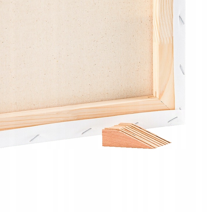 PŁÓTNO PODOBRAZIE MALARSKIE PROFESSIONAL ART BAWEŁNIANE 80x120