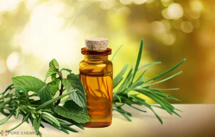 OLEJEK HERBACIANY Z DRZEWA HERBACIANEGO 100ml