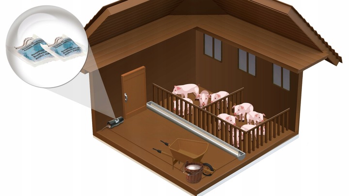 RATIMOR NA SZCZURY MYSZY GRYZONIE ULTRA MOCNA PASTA 1,5KG BRODIFAKUM