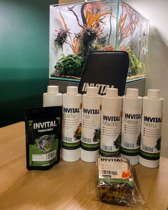 INVITAL Carbon 500ml