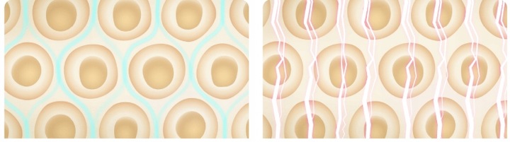 Inteligentna Waga Łazienkowa Xiaomi Mi Body Composition Scale S400 do