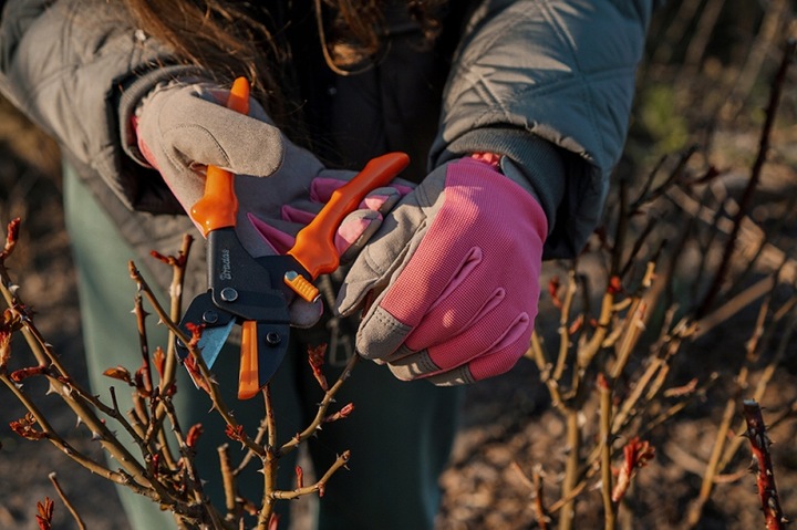 SEKATOR OGRODOWY WIELOFUNKCYJNY NOŻYCE DO KWIATÓW KRZEWÓW STAL SK2