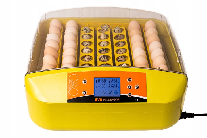INKUBATOR AUTOMATYCZNY OVO do 56 JAJ wylęgarka klujnik + PRZEŚWIETLARKA