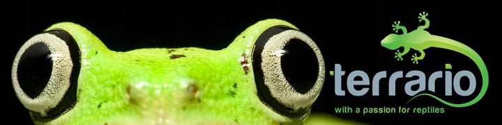 TERMOMETR I HIGROMETR - TERRARIO ROTOM DIGITAL IDEALNY ZESTAW DO